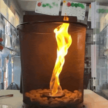 St Mary's Catholic Primary School Rydalmere