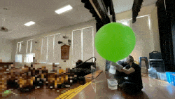 Balmain Public School