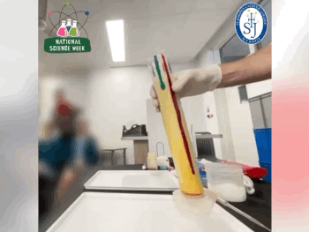 St Joseph's Catholic College East Gosford