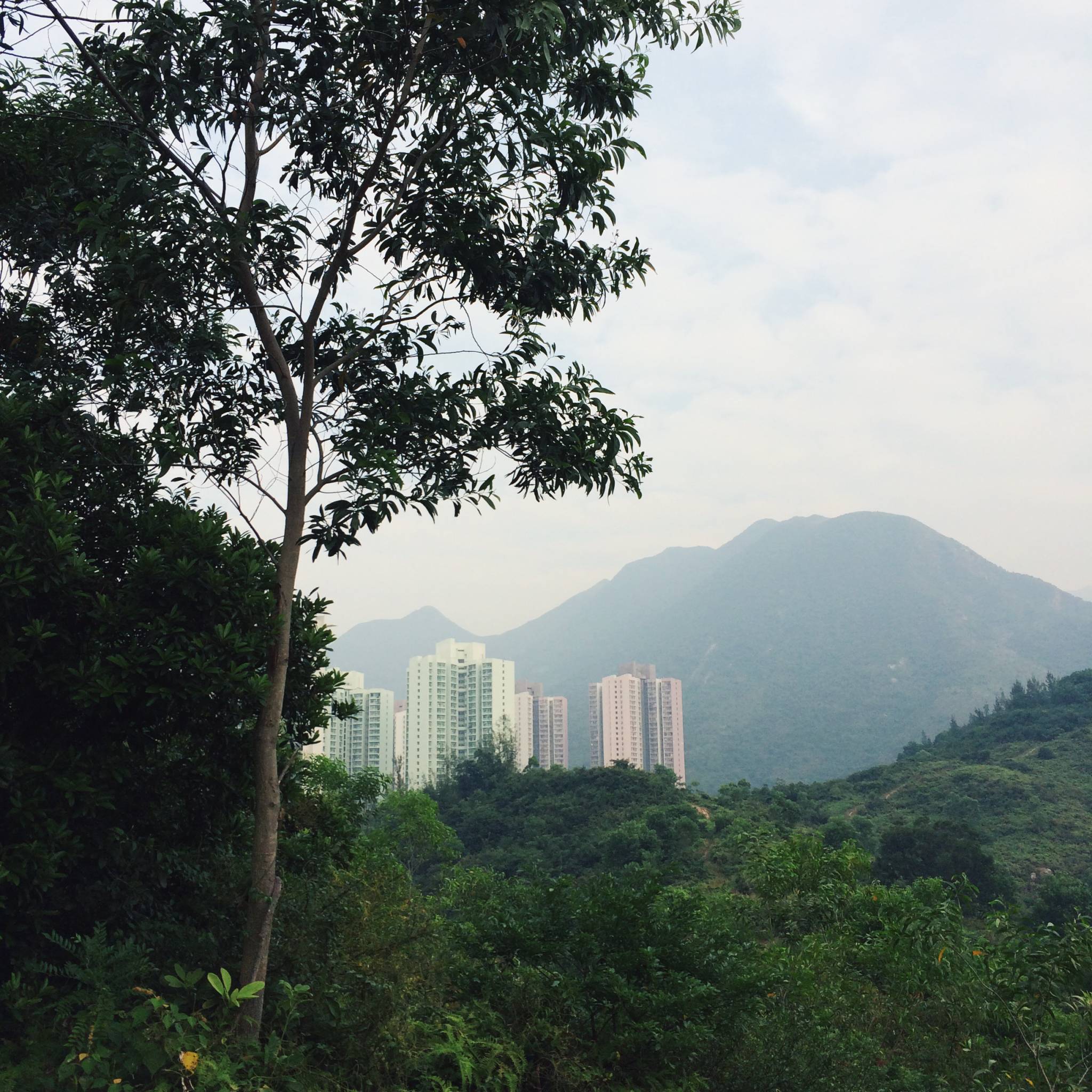 View of Tung Chung town