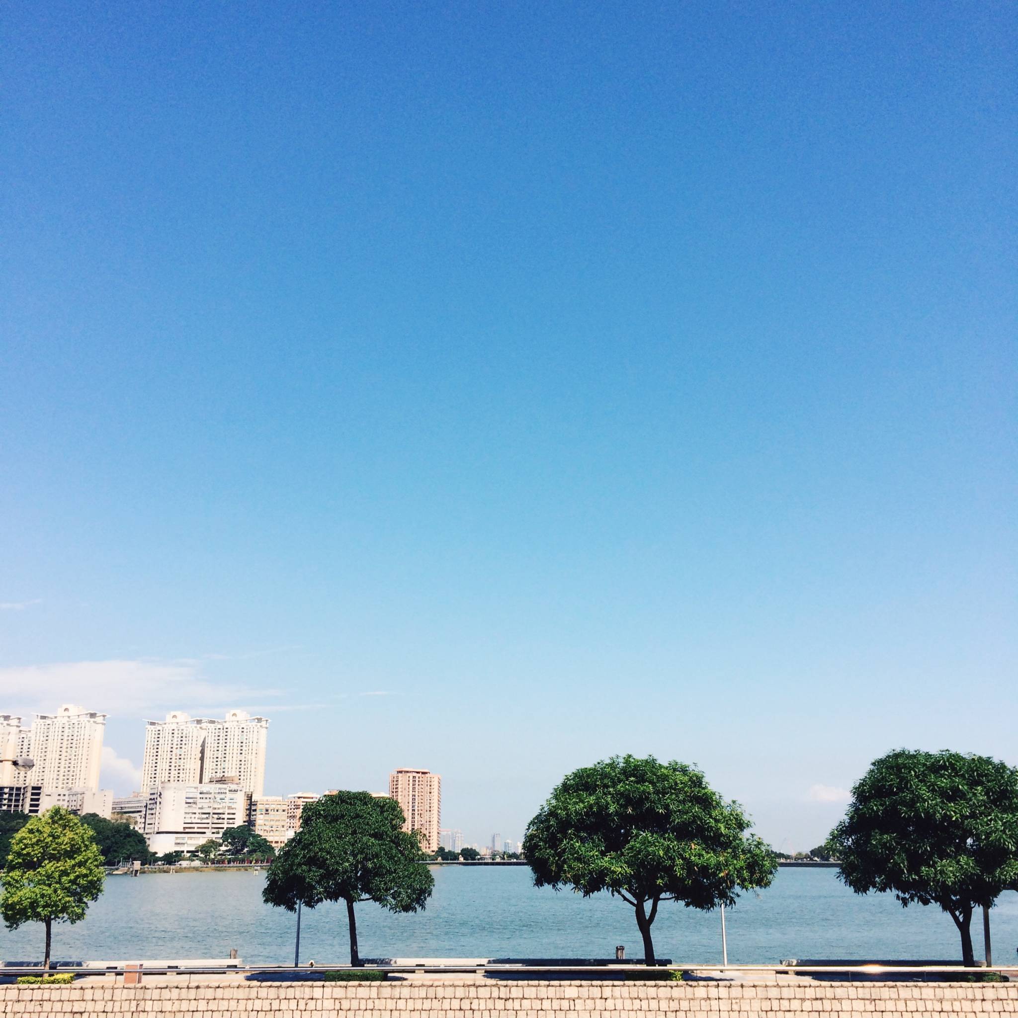 2015-11-09-12.39.01.jpg