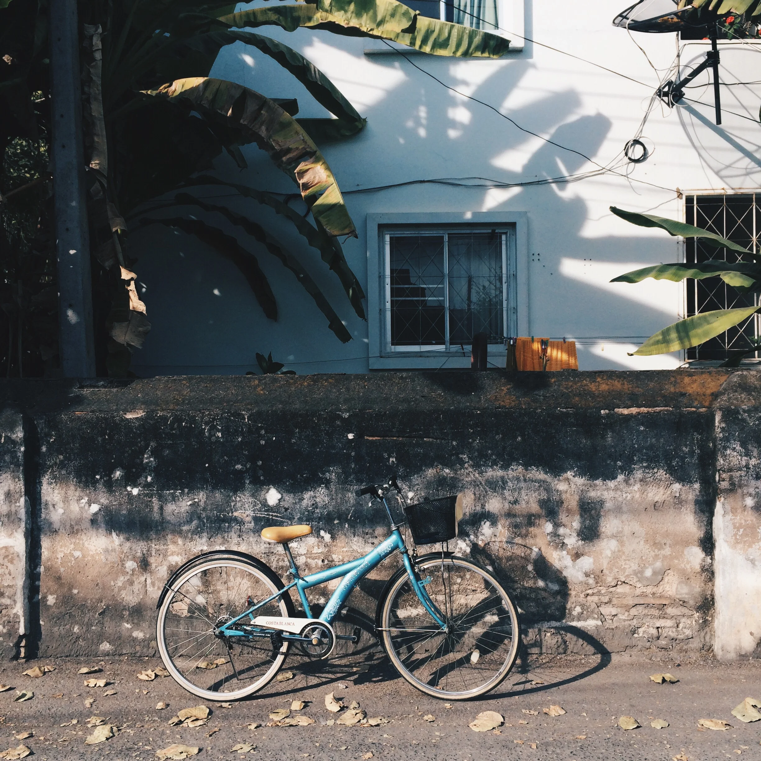 The bike rent in my hostel, Chiang Mai