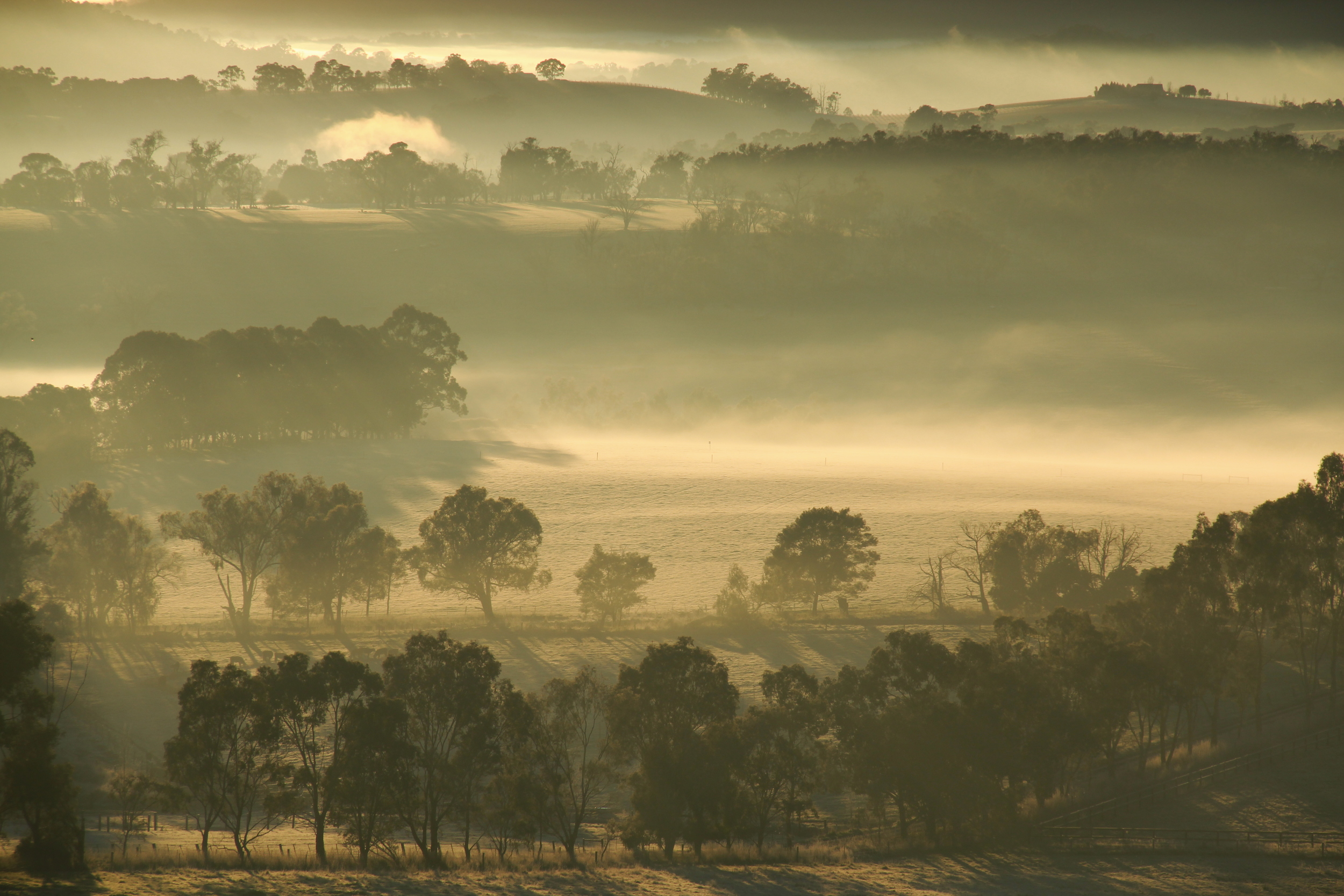 Yarra Valley, Melbourne, 2013