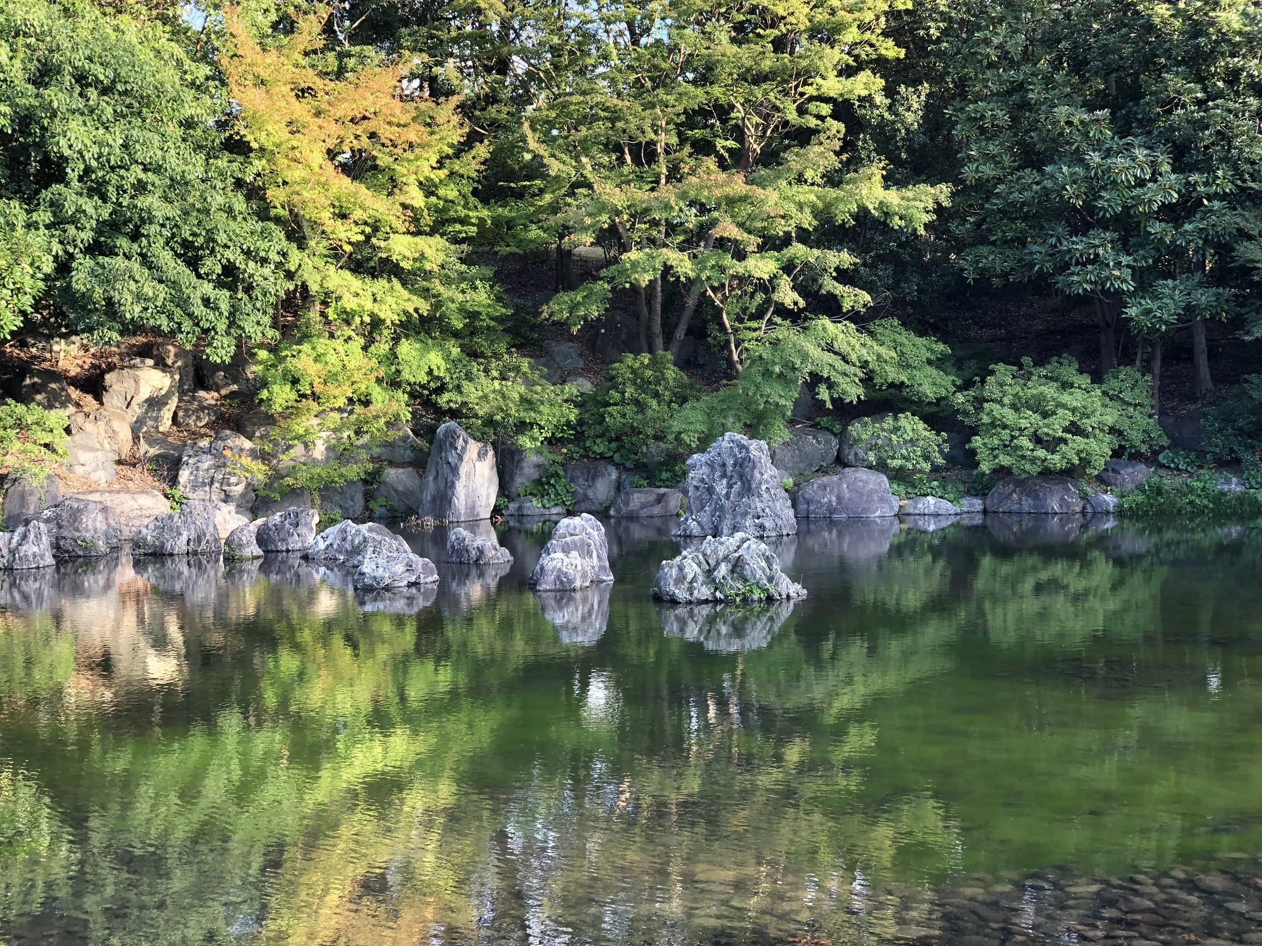 Image 20190124 120030.jpg