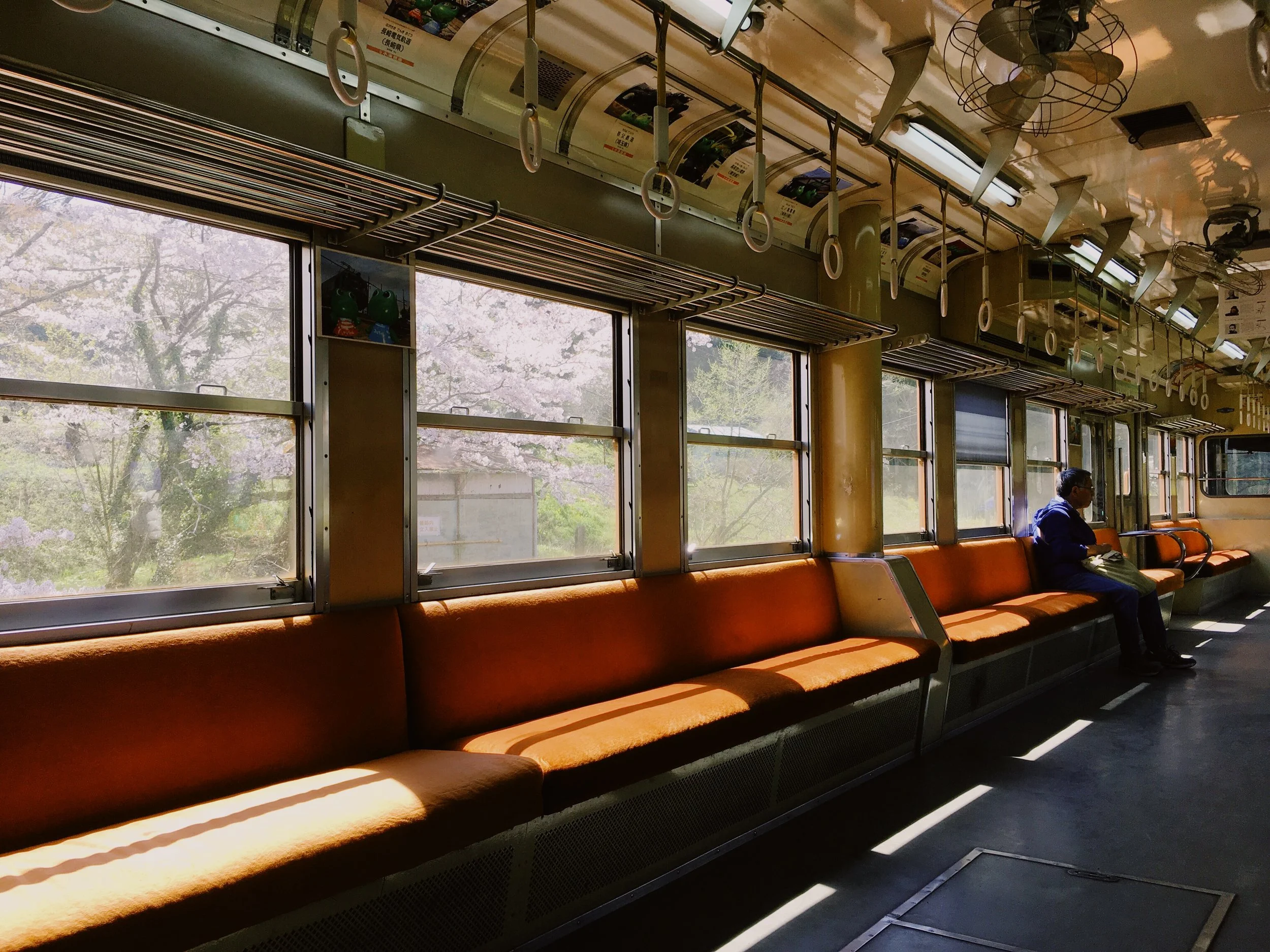 3ED83510-3C75-4DF0-980D-4FF35215E33F.jpg