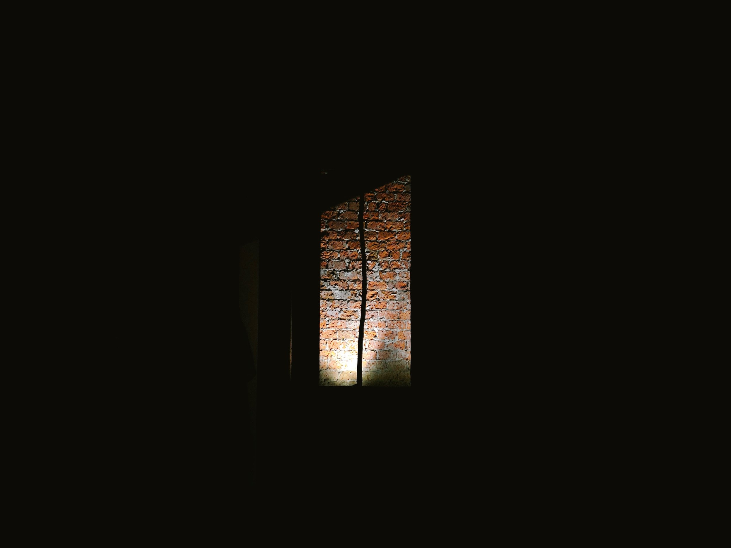 IMG_5779.jpeg