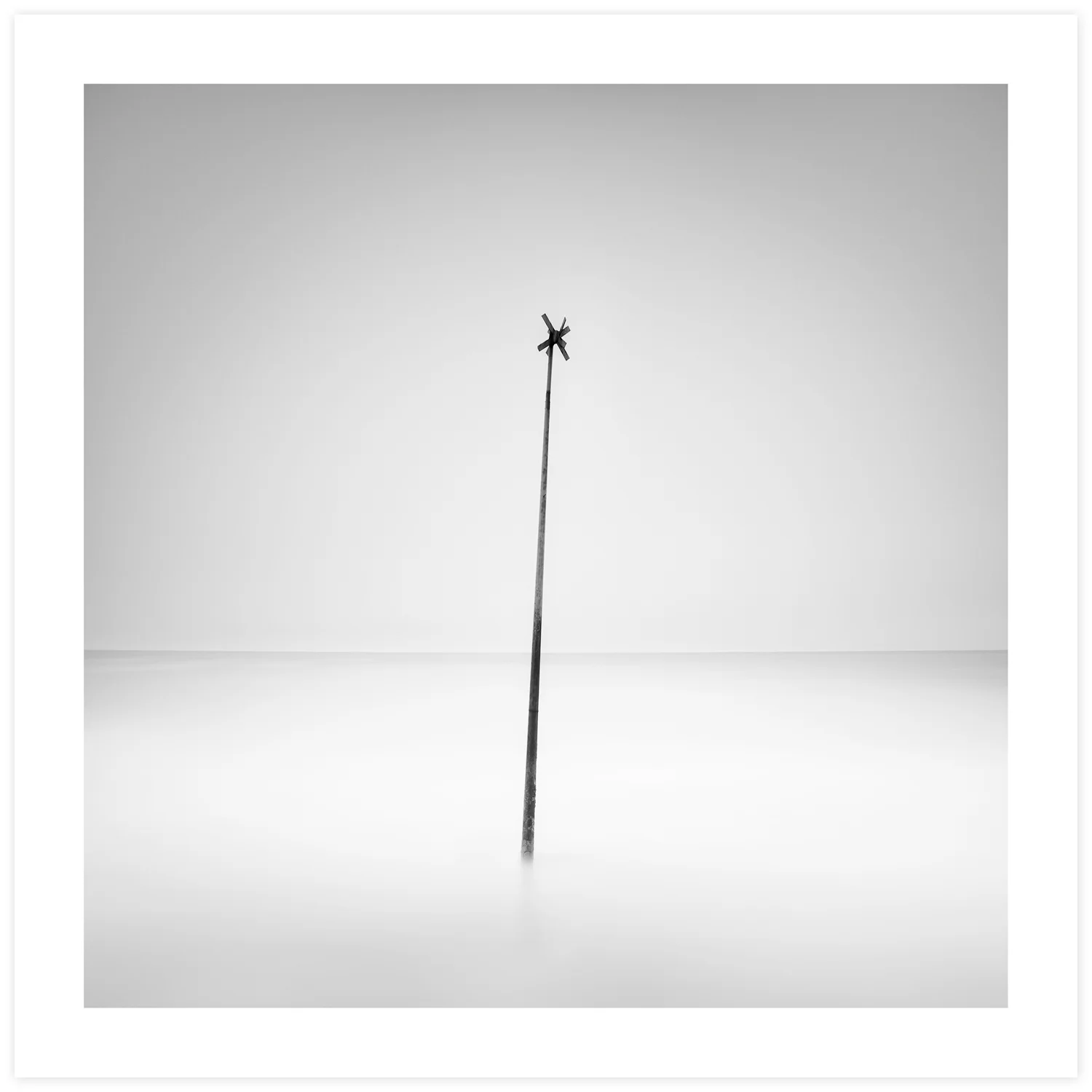 Signal