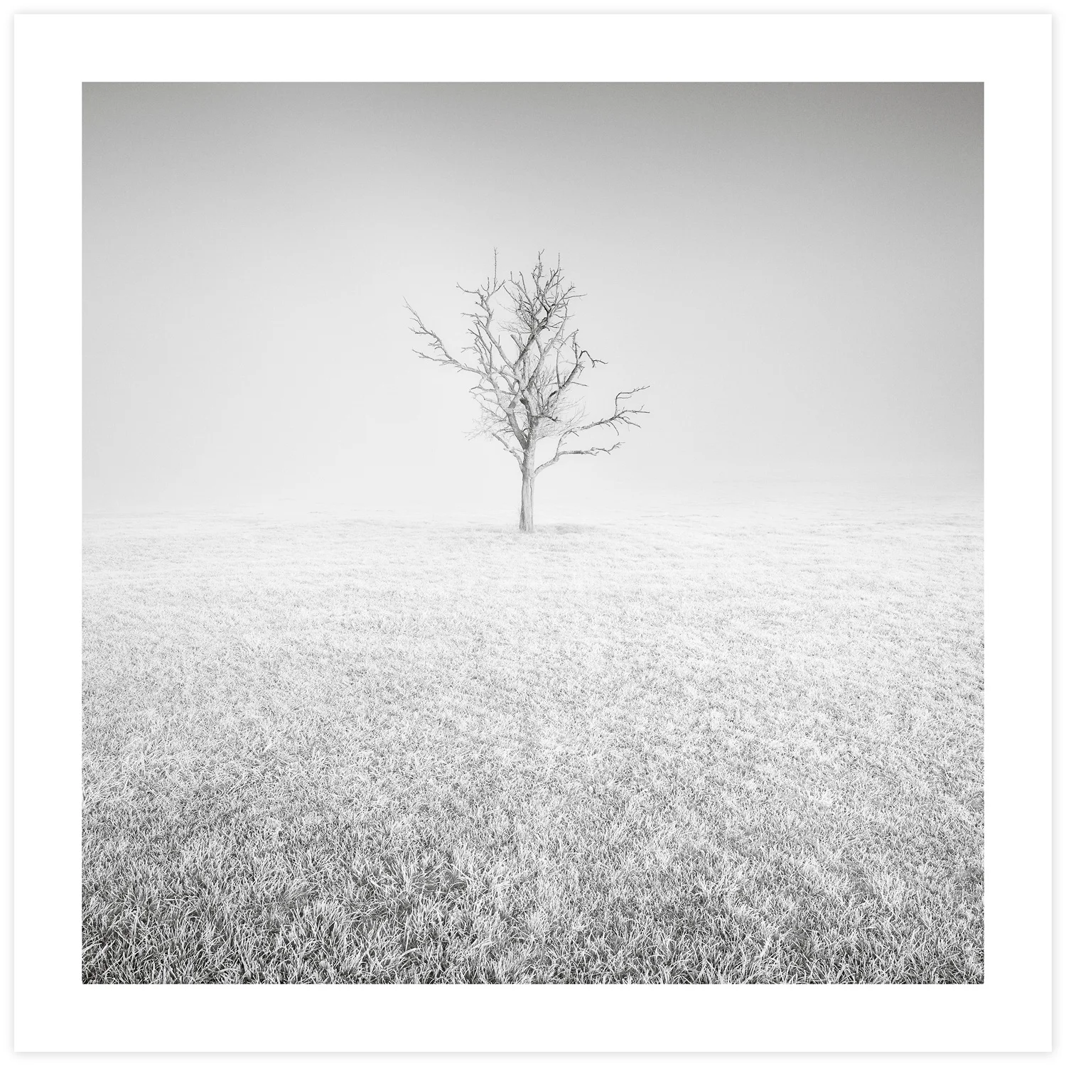 Givre