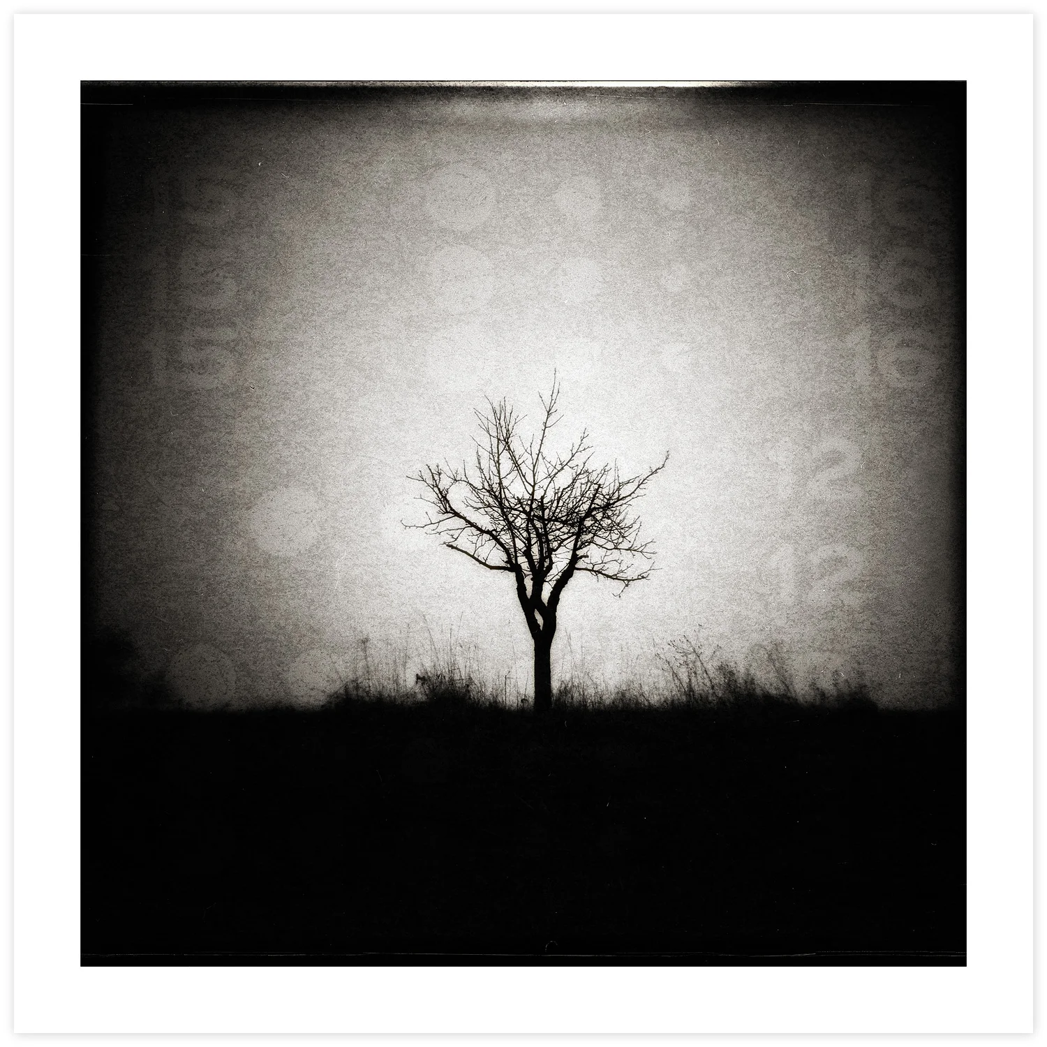 Math Tree