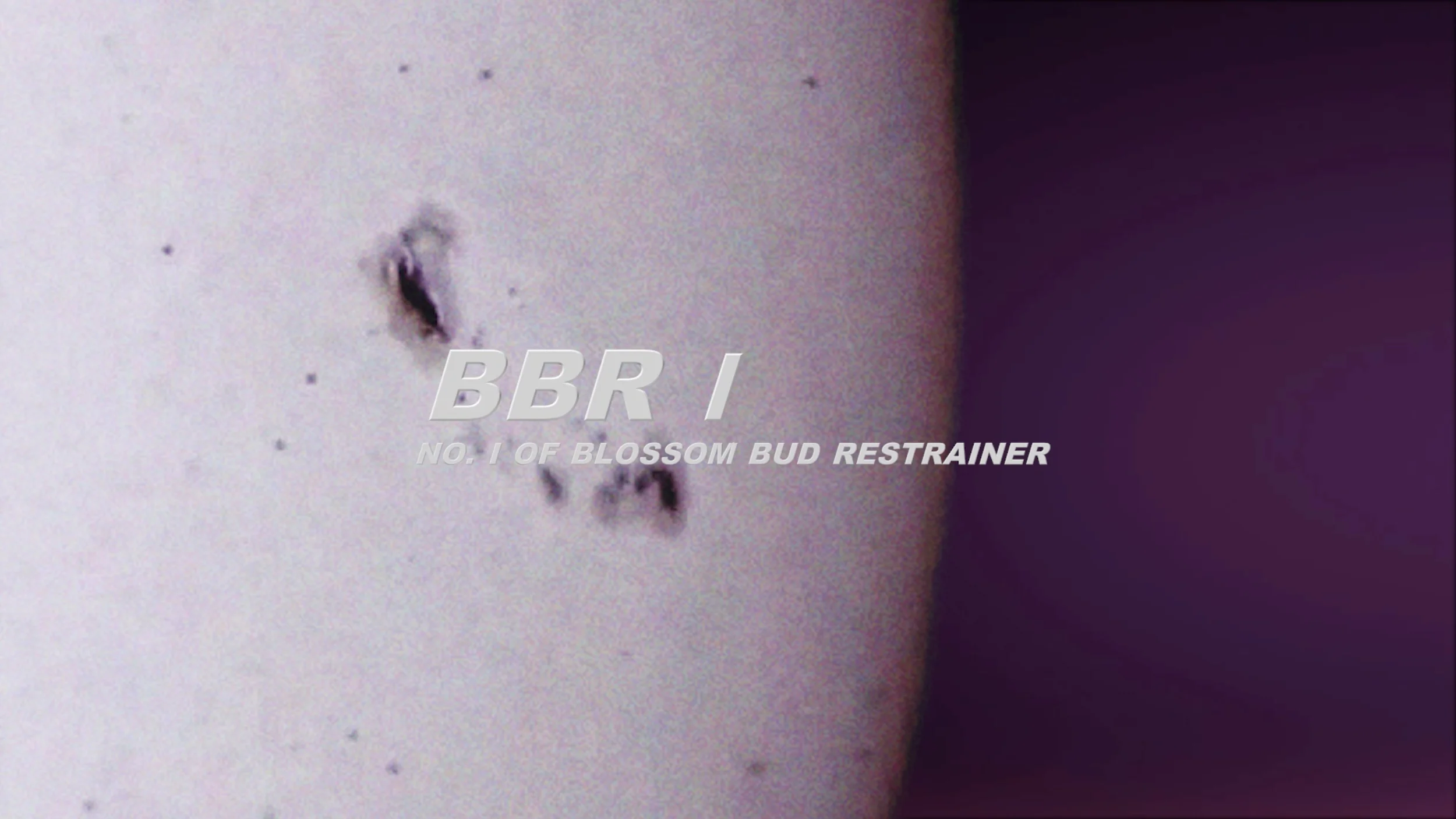 bbr1.jpg