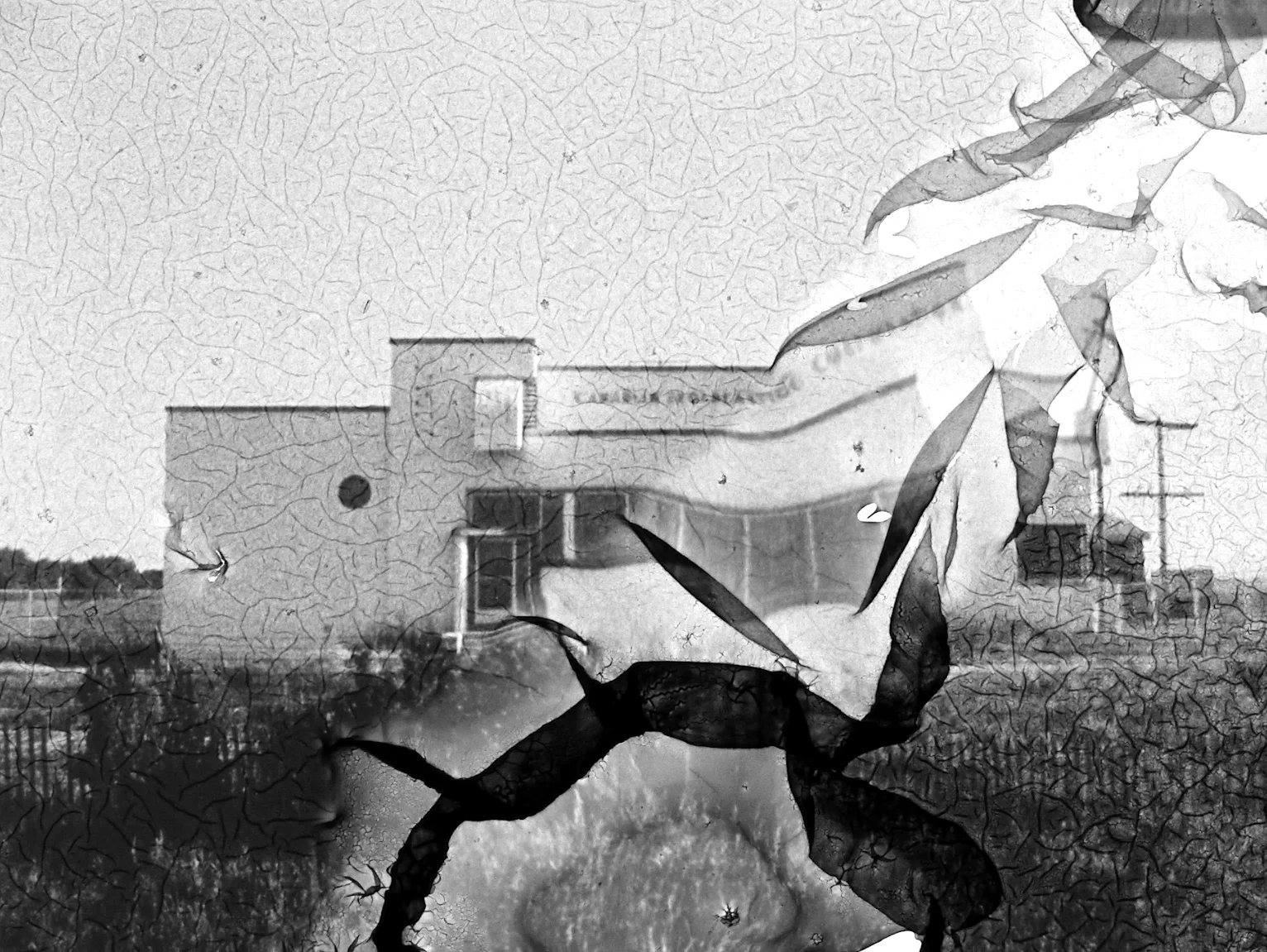 Farewell Transmission_2.jpg