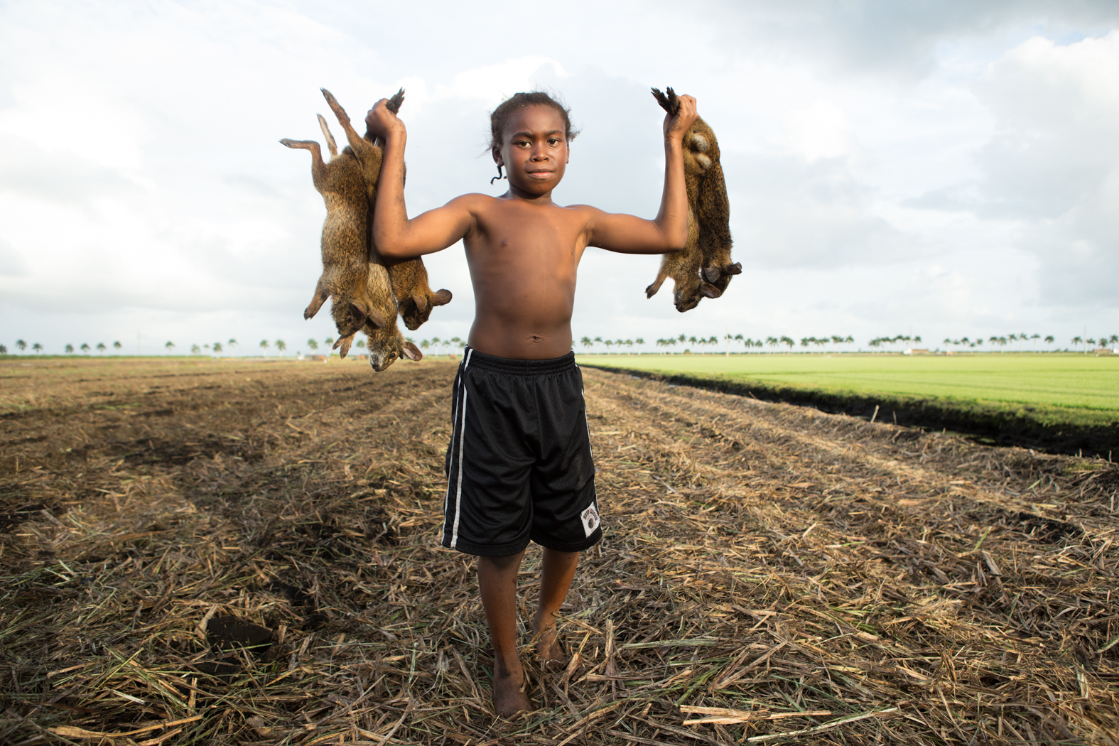 The Rabbit Hunt.jpg