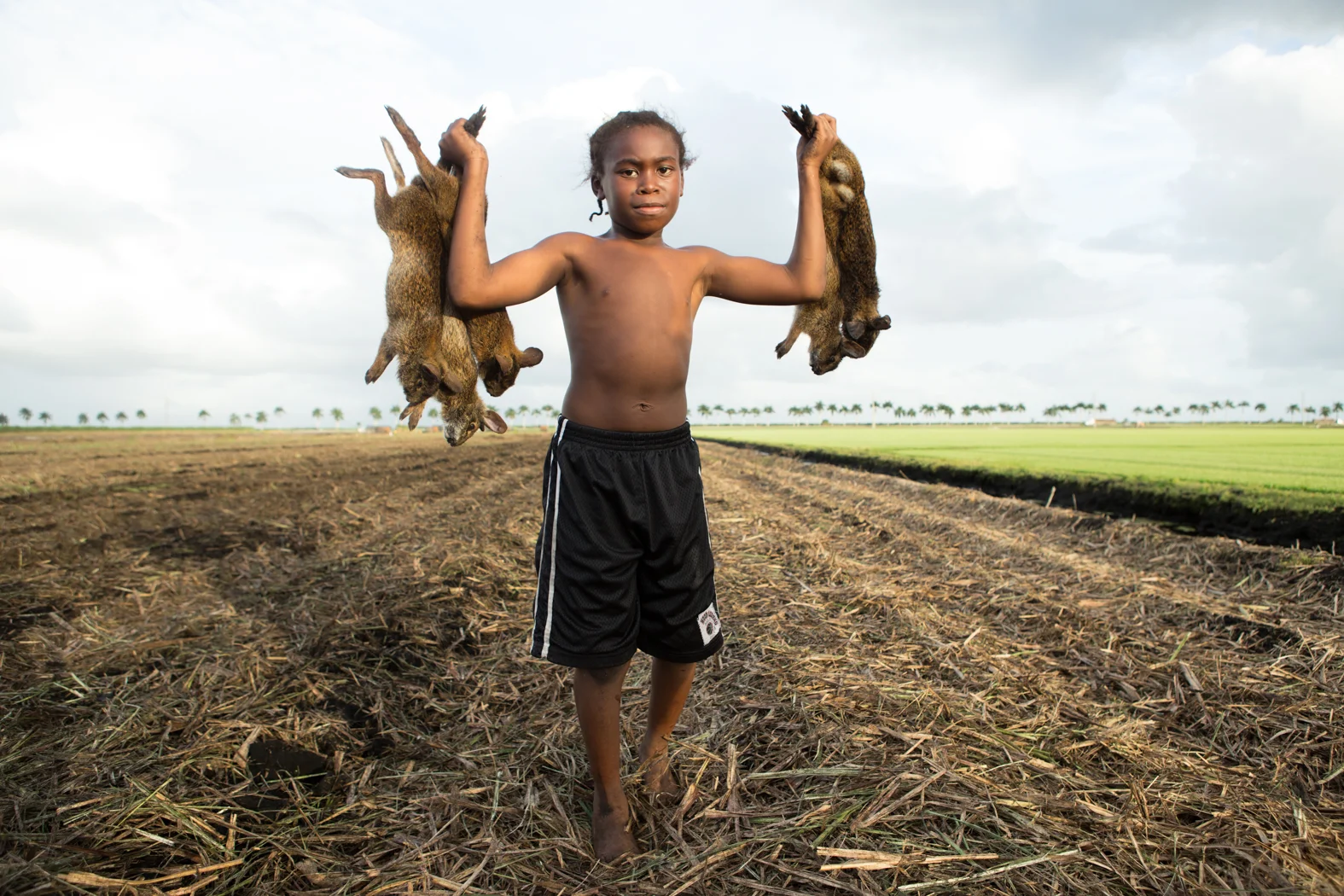 The Rabbit Hunt.jpg