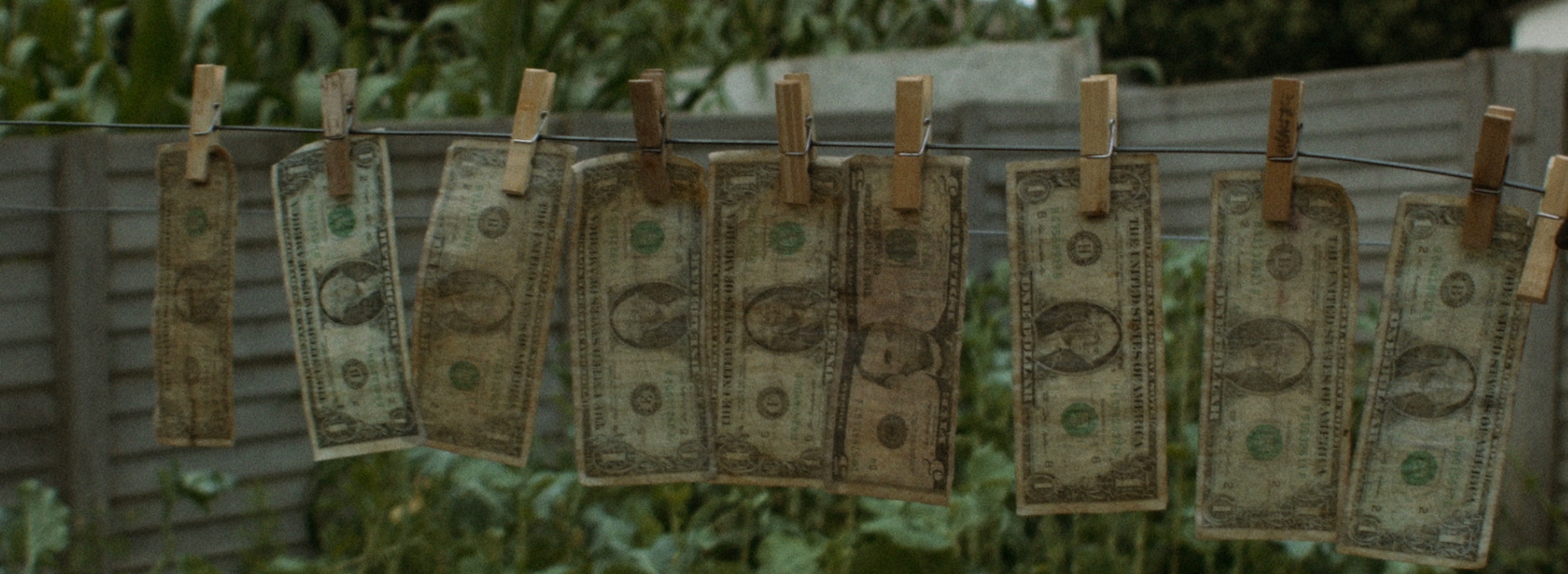 WASTE NO.1 MONEY.jpg