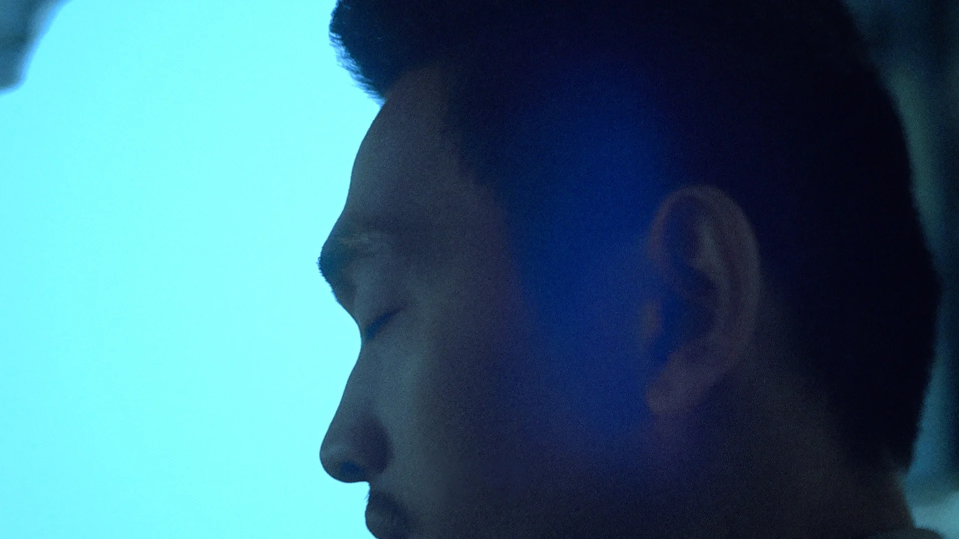Hiwa_Still2.jpg