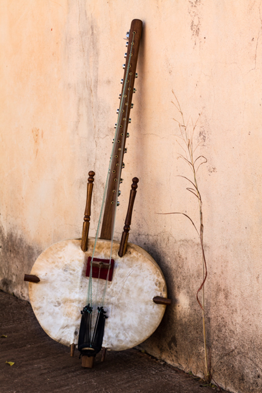 Spot on Mali Music Kora-1.jpg