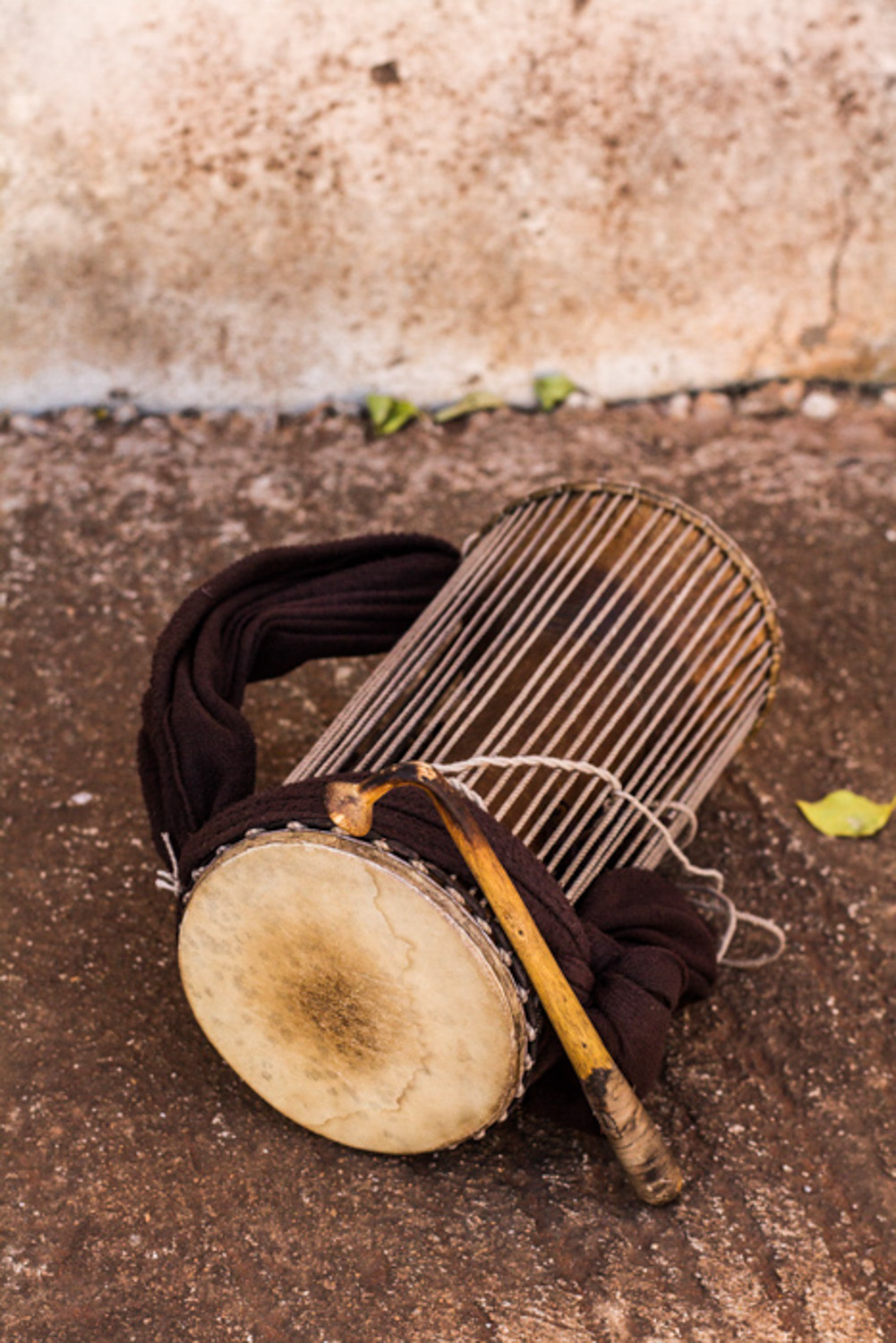 Spot on Mali Music Instruments-26.jpg