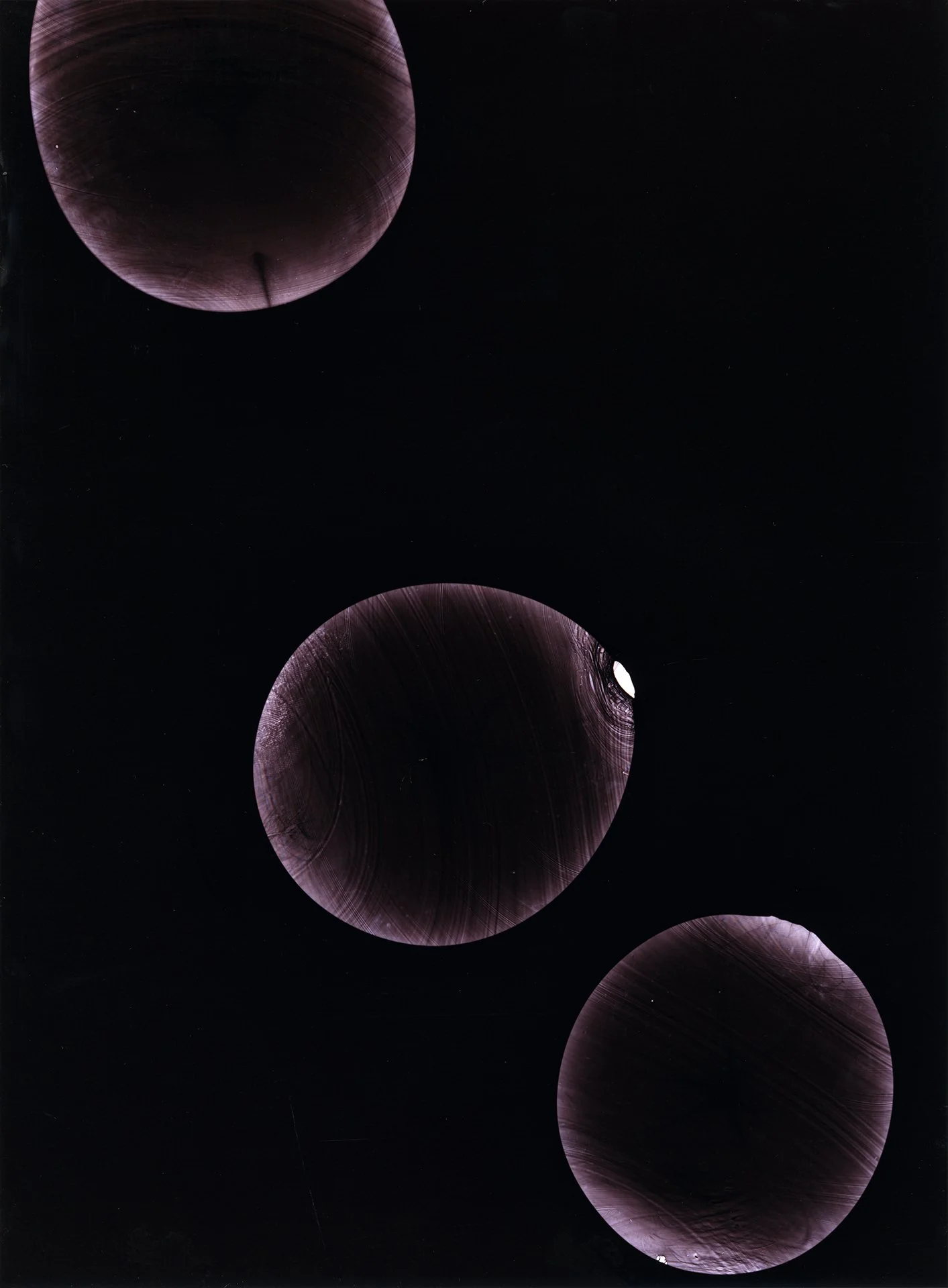 2021.05_Photogram_scan_001_RCA2021.jpg