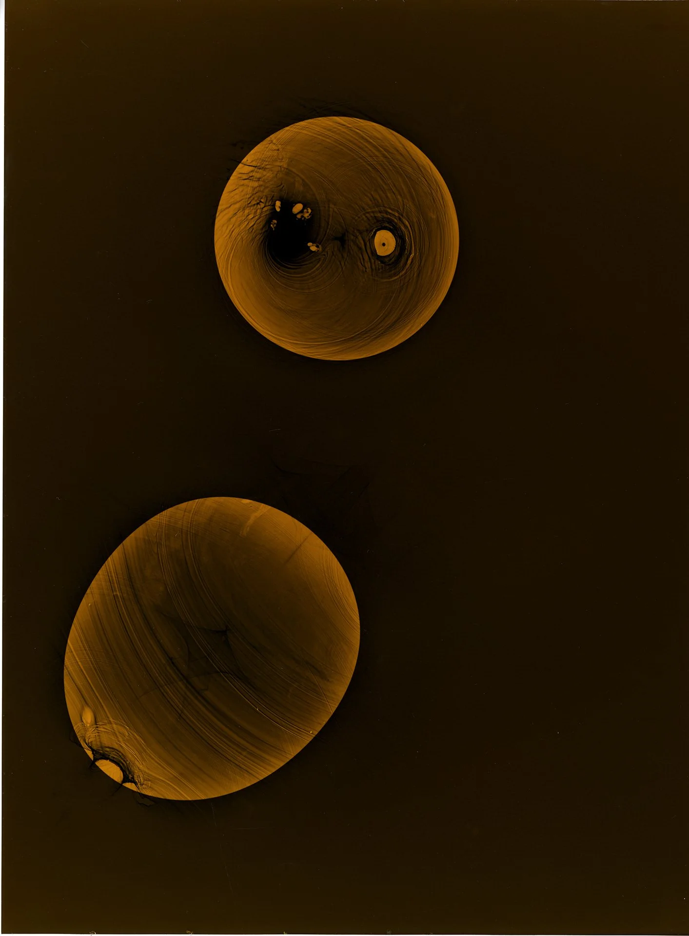 2021.05_Photogram_scan_009_RCA2021.jpg