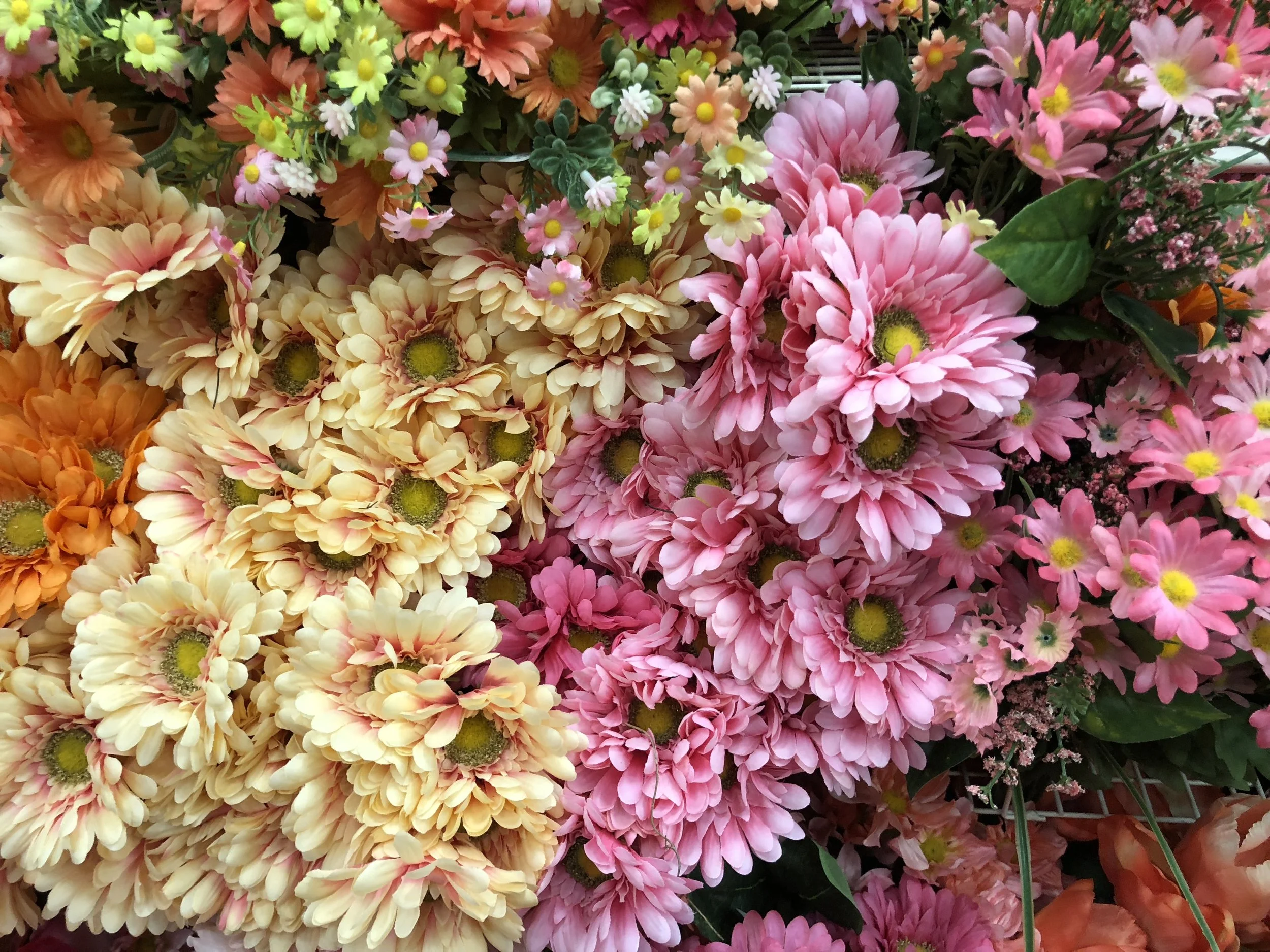 A Series of Artful Portraits for Your Gallery Wall