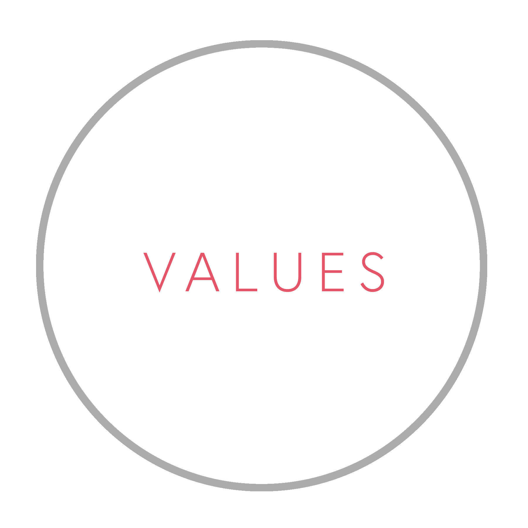 values.png