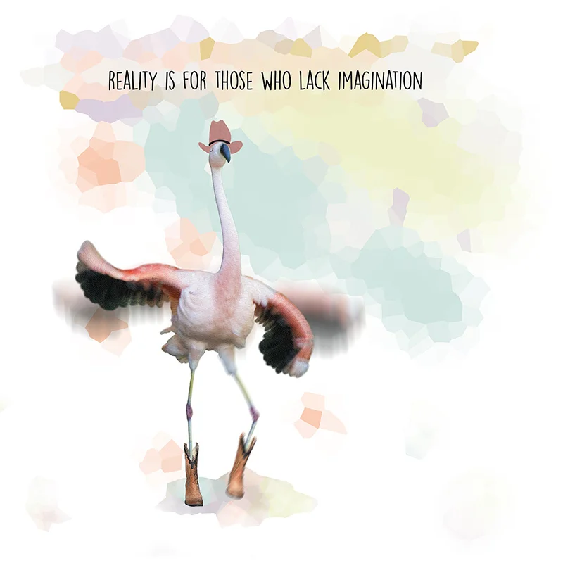 Flamingo_reality5x5_web.jpg