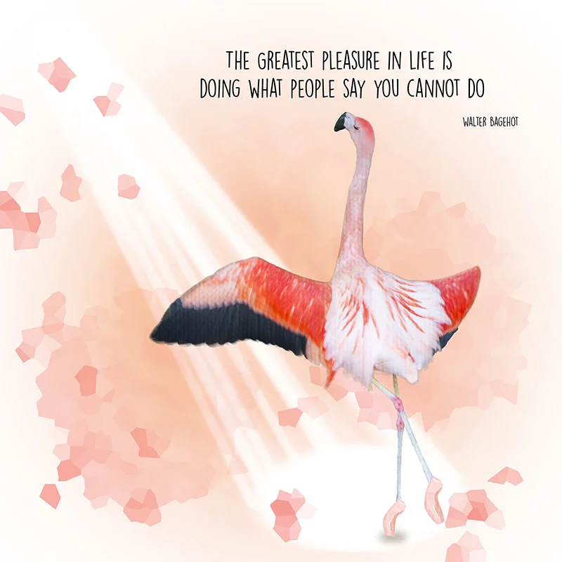 Flamingo_pleasure5x5_web.jpg
