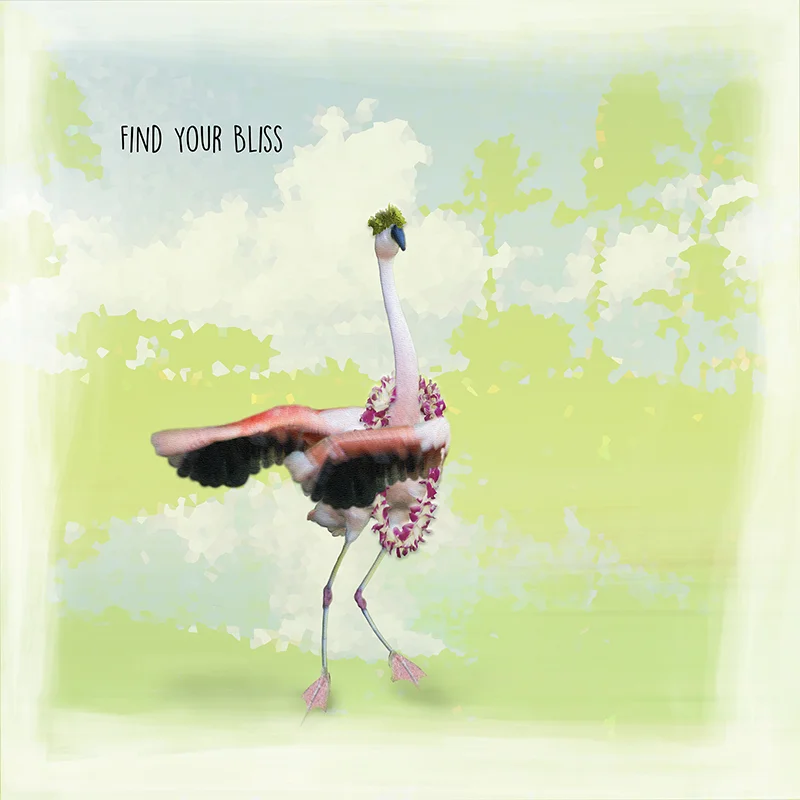 Bliss5x5_web.jpg