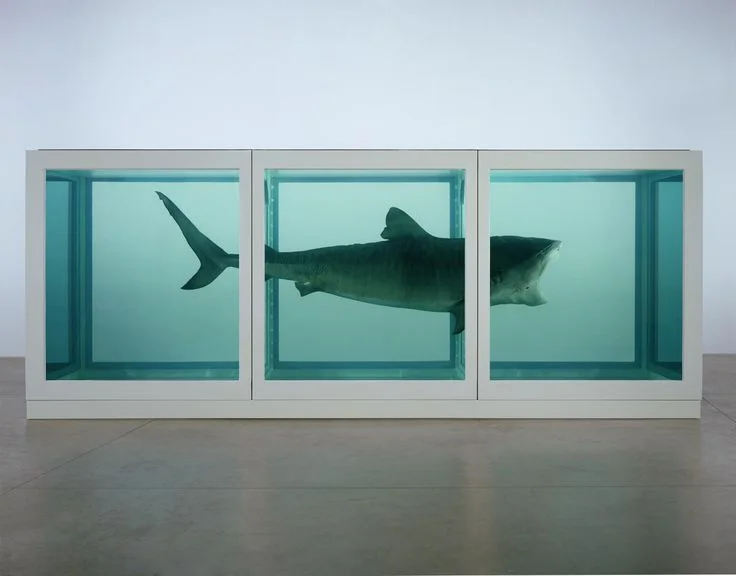 Damien Hirst, The Physical Impossibility of Death , 1991