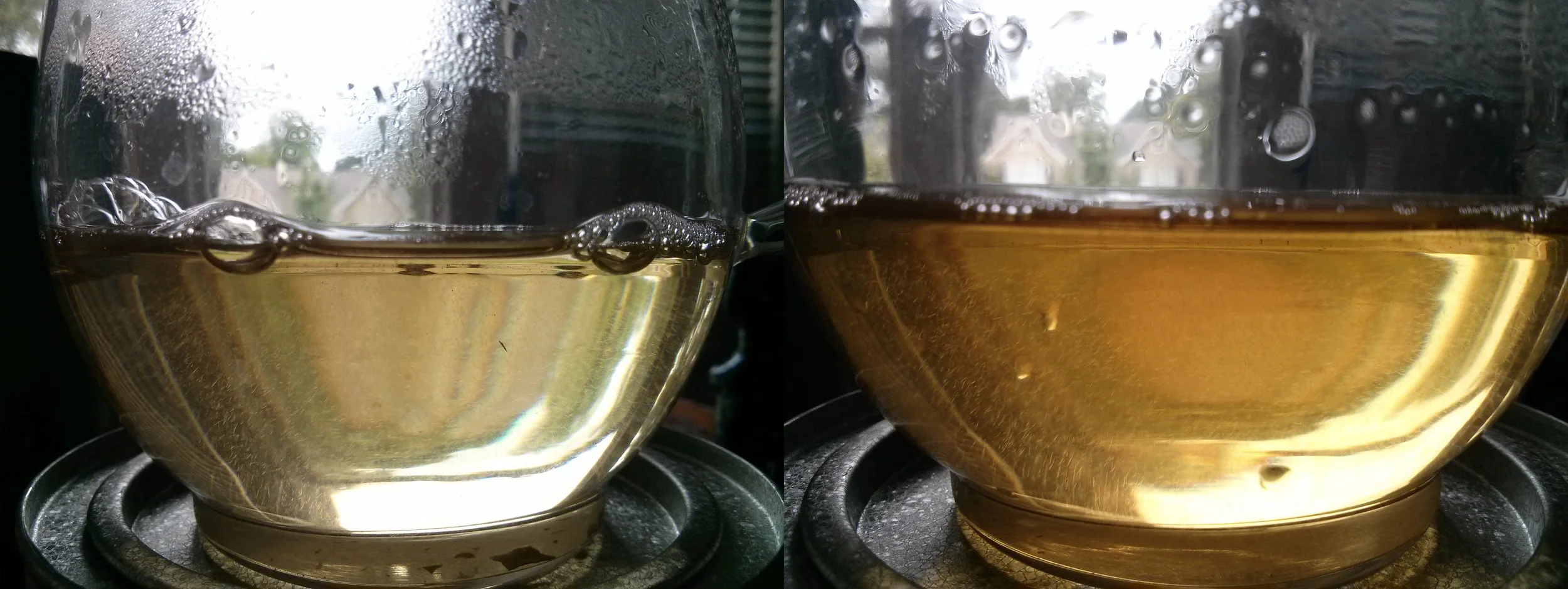 A photo taken at the same location with light coming through. The SC tea looks quite yellow indeed, while the FMF might be the whitest white tea I've encountered.