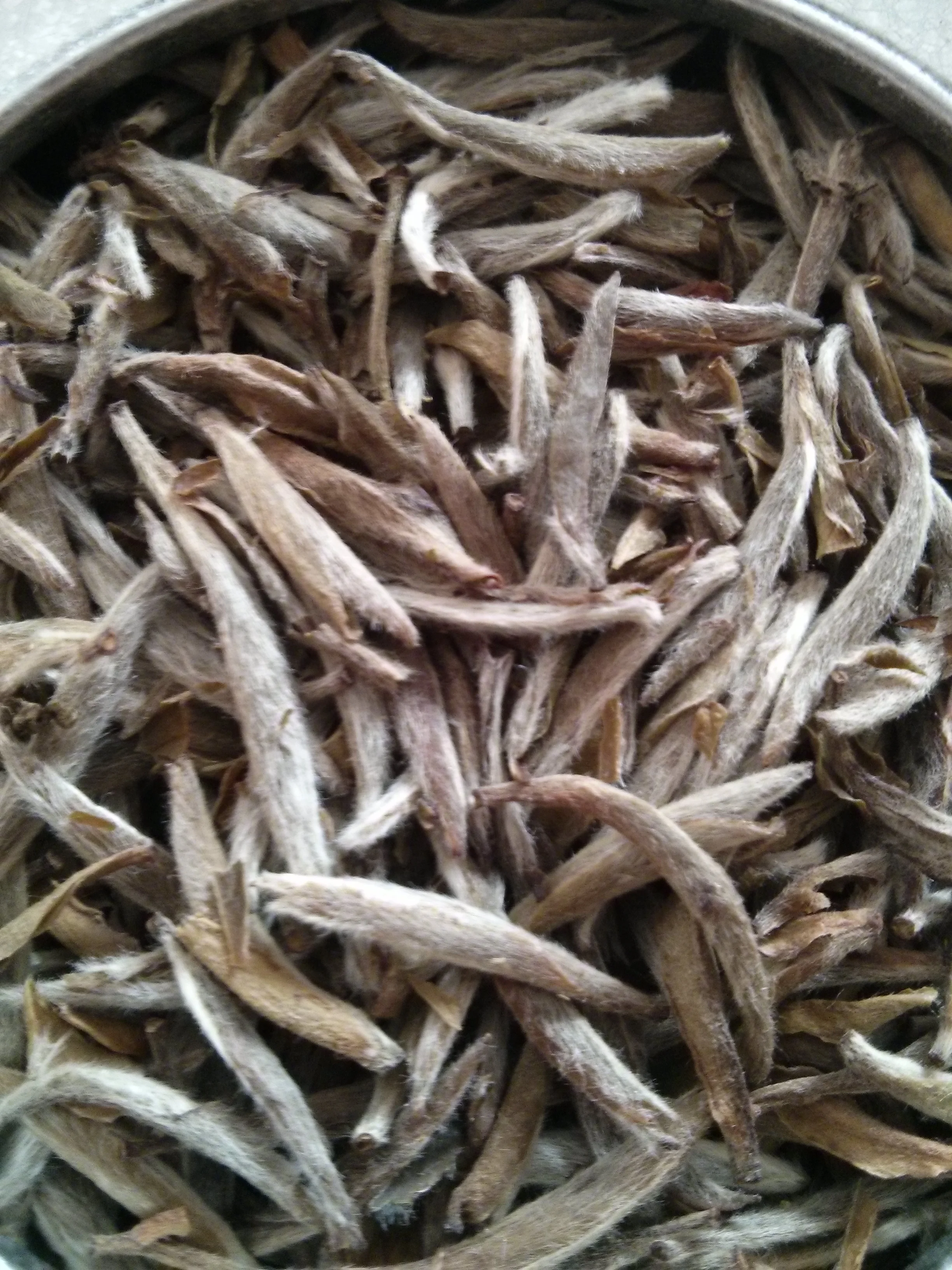 There are few teas that are as instantly recognizable as Silver Needle . The small, rolled leaves and the white "hair" makes it easy to note the quality of the tea.