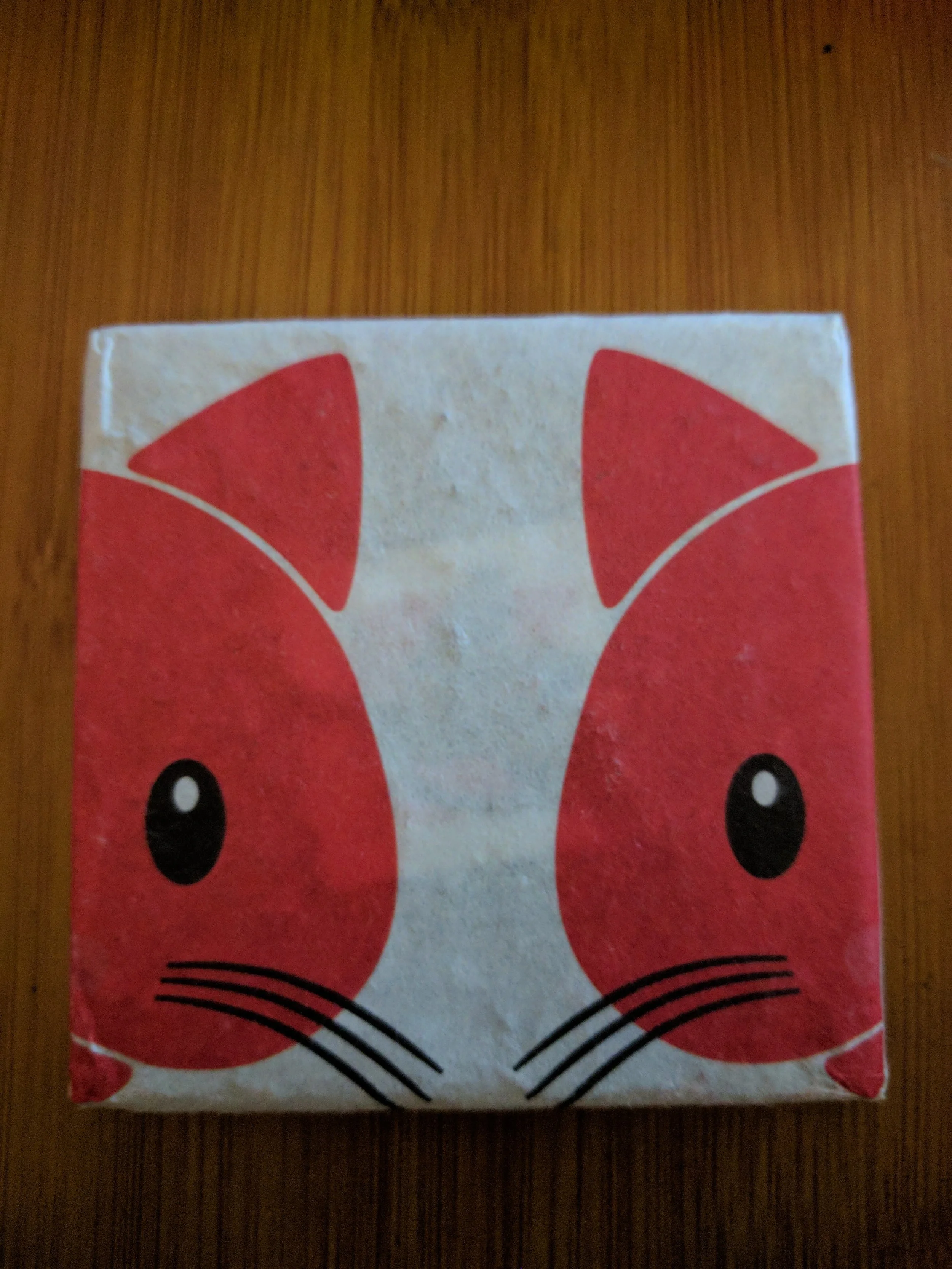 Kitty