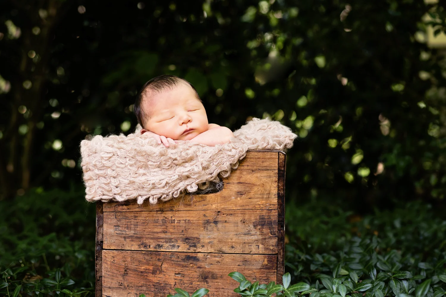 Christina McPherson Photography, boston, newborn, baby, children, photography, photographer, childrens
