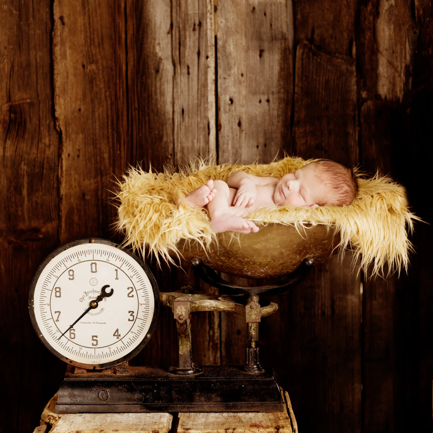boston, newborn, baby, children, photography, photographer, childrens