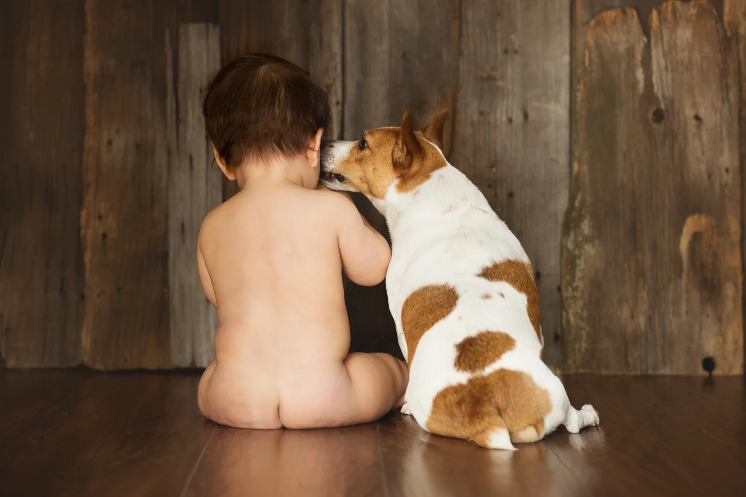 baby, photographer, boston, best, newborn