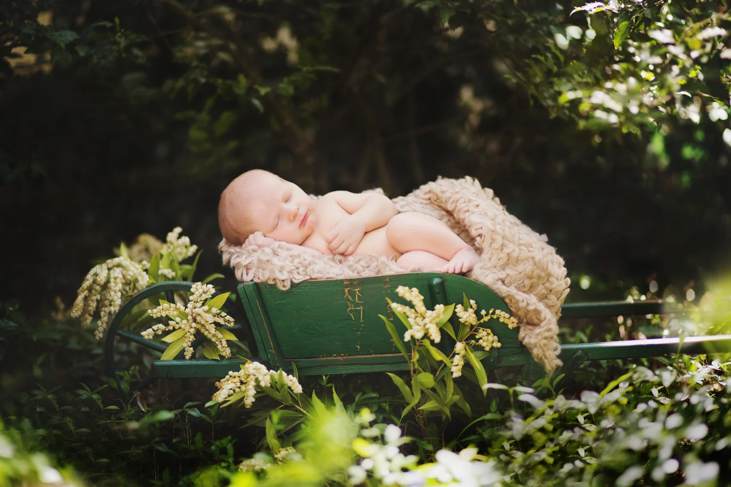 www.christinamcpherson.com, Boston newborn photographer,boston best newborn photographer,boston childrens photographer