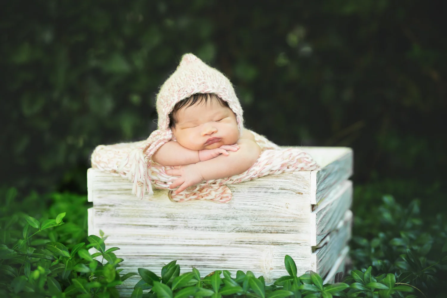 www.christinamcpherson.com,boston best newborn photographer,boston baby photographer