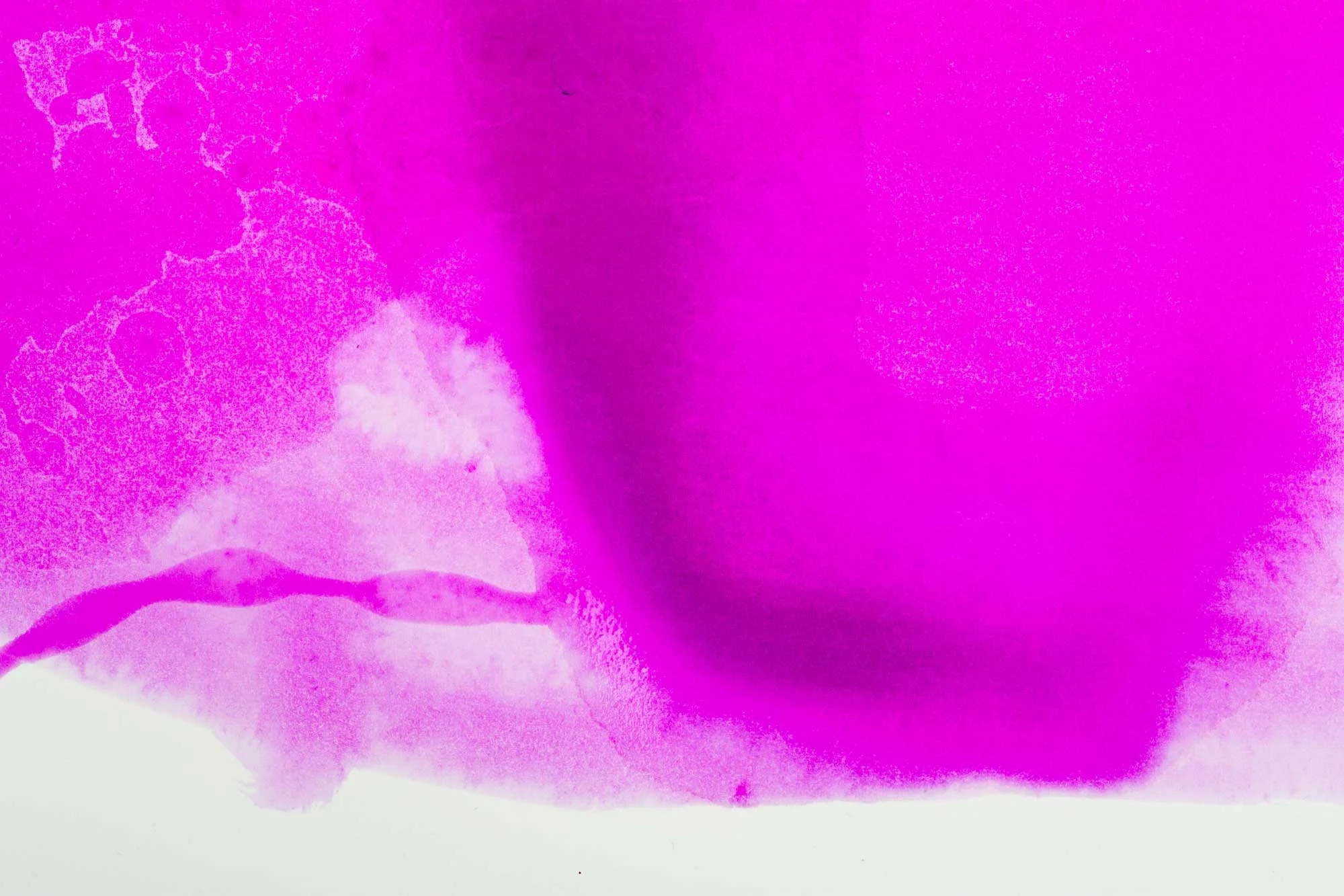 New Designers' Prepare Day