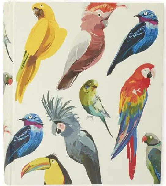 Let's Squawk via ASOS US