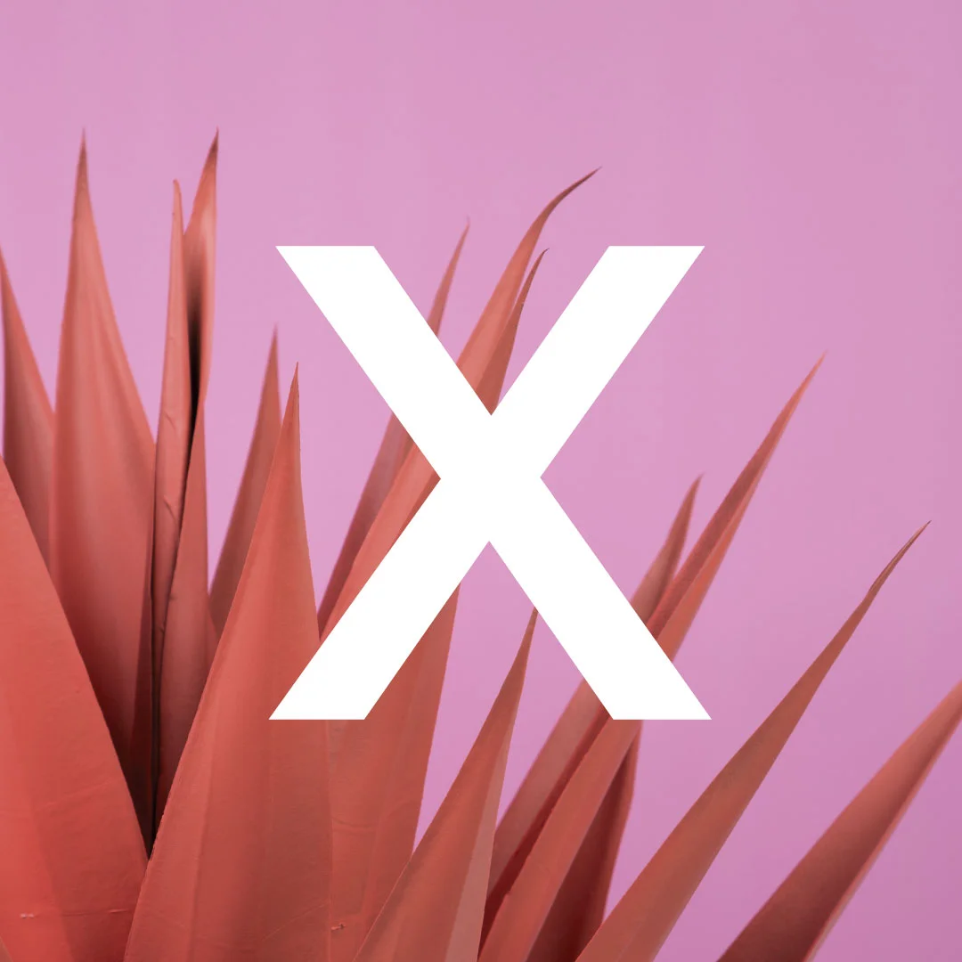 X is for...