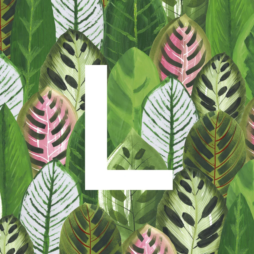 L is for...