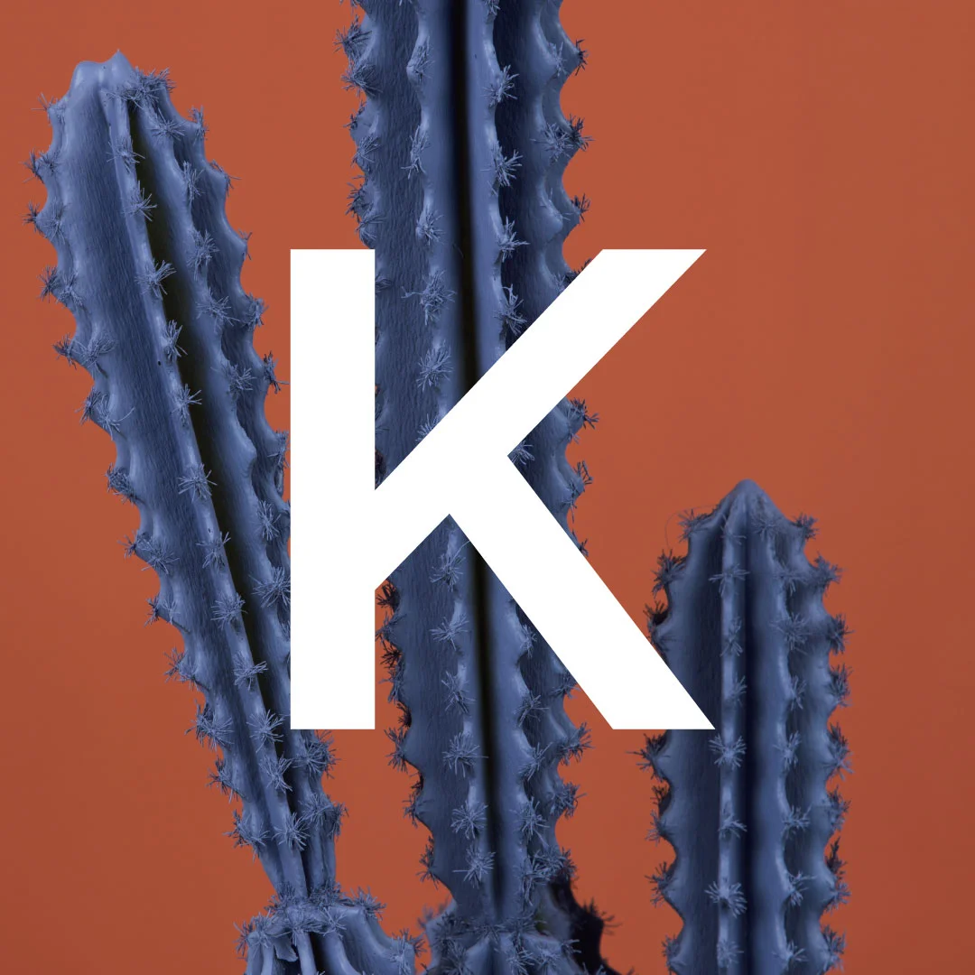 K is for...