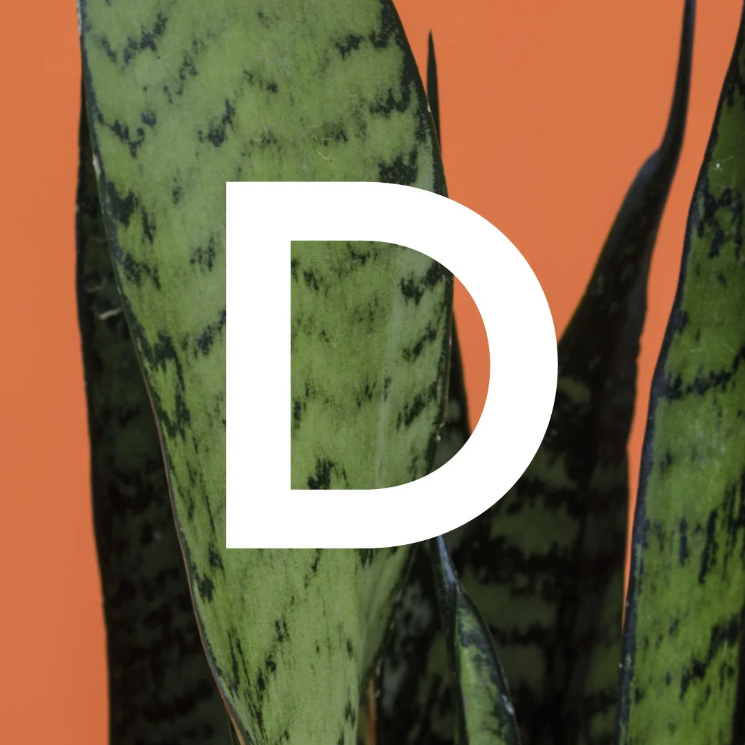 D is for...