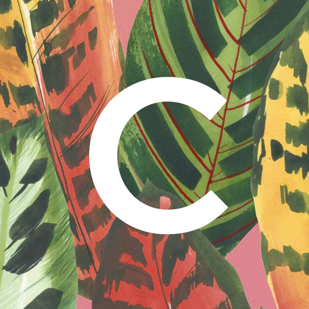 C is for...