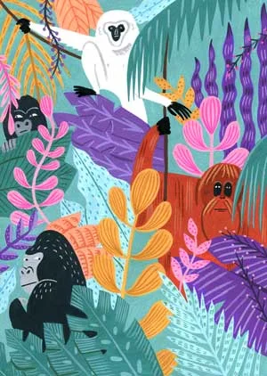 Jamie-Bennett---Tropical---2.jpg