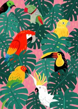 Jamie-Bennett---Tropical---3.jpg