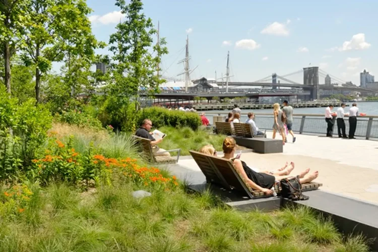 TED Talk: How Public Spaces Make Cities Work
