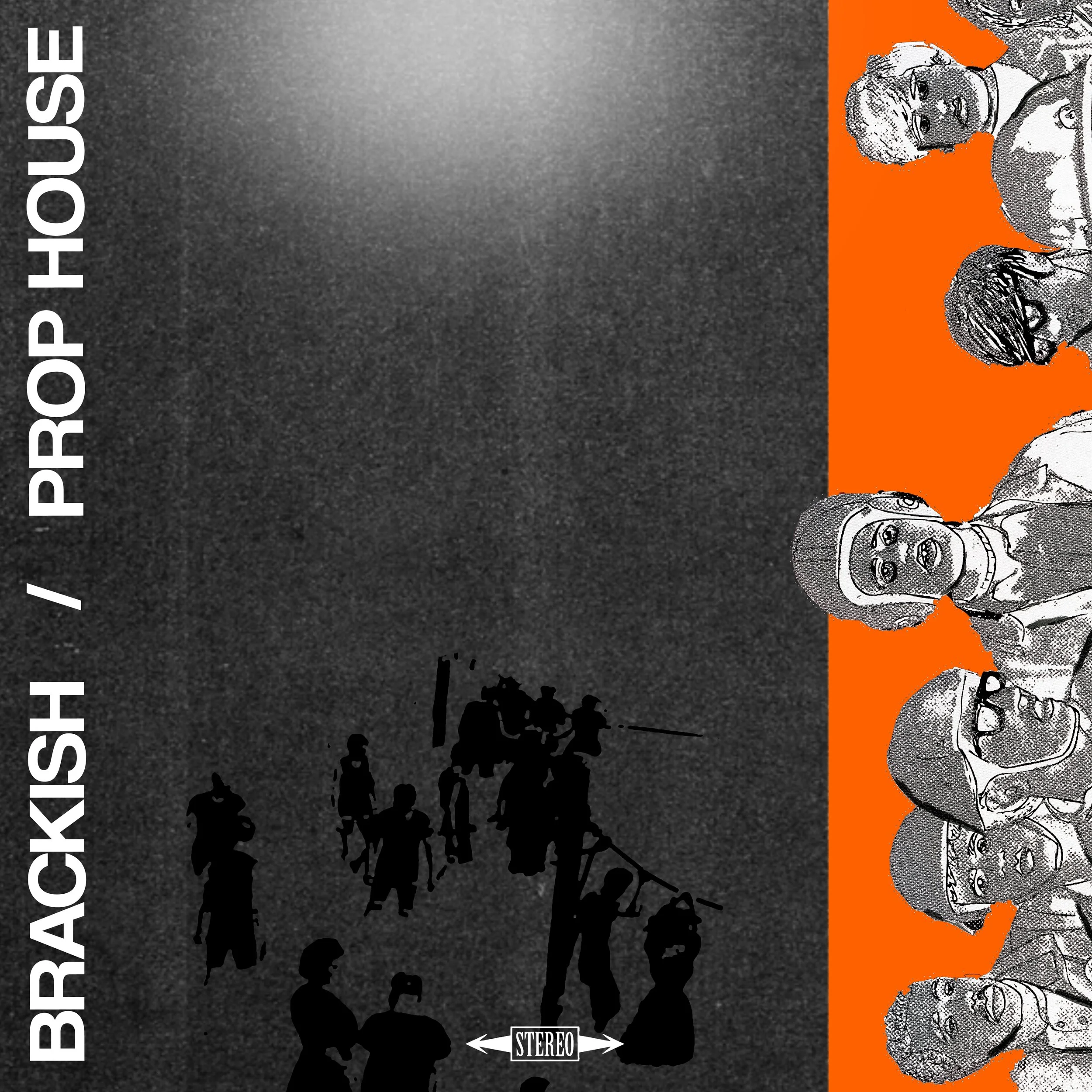 prophousebrackishsplit.jpg
