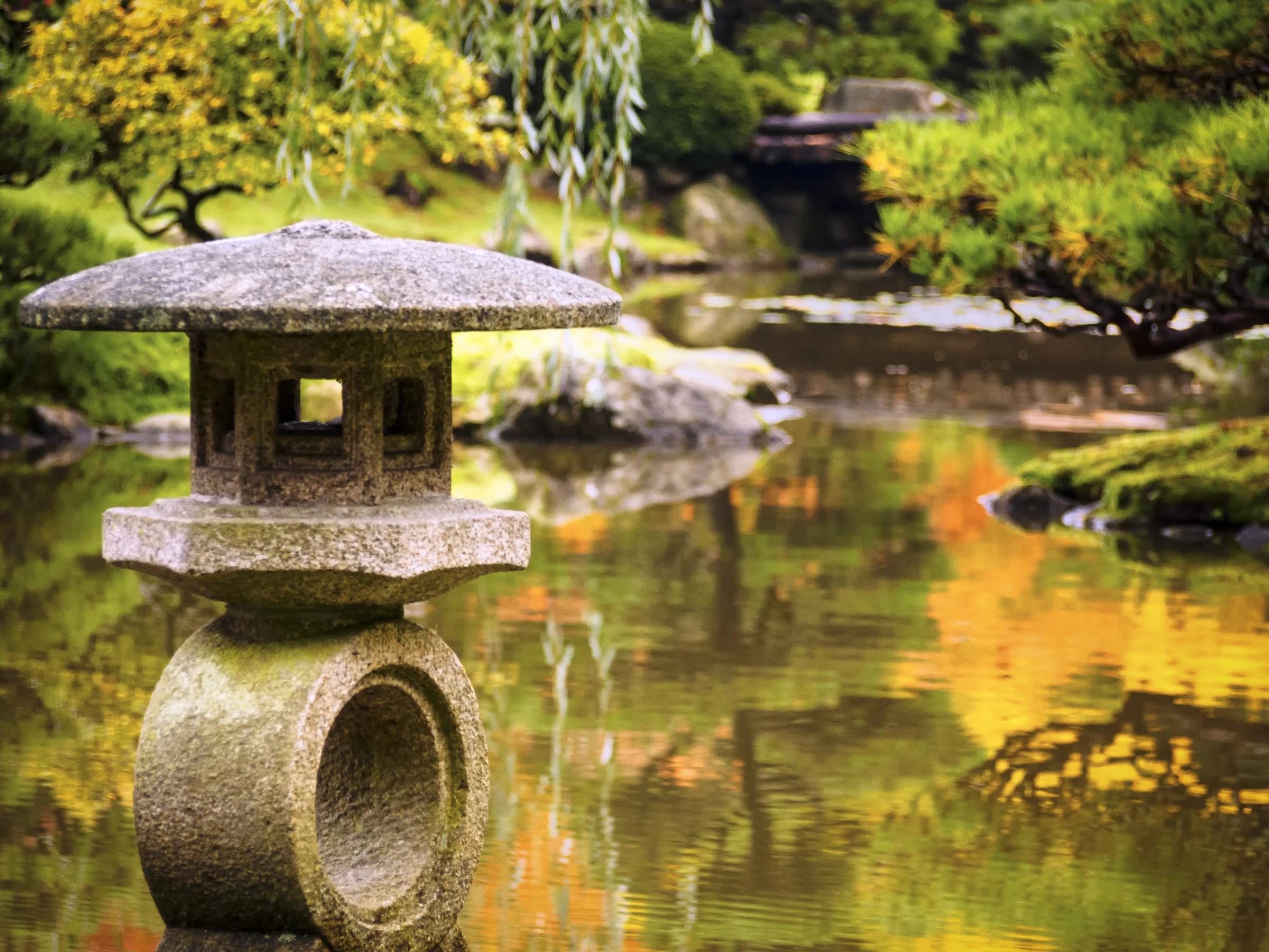 Japanese Garden-wp.jpg