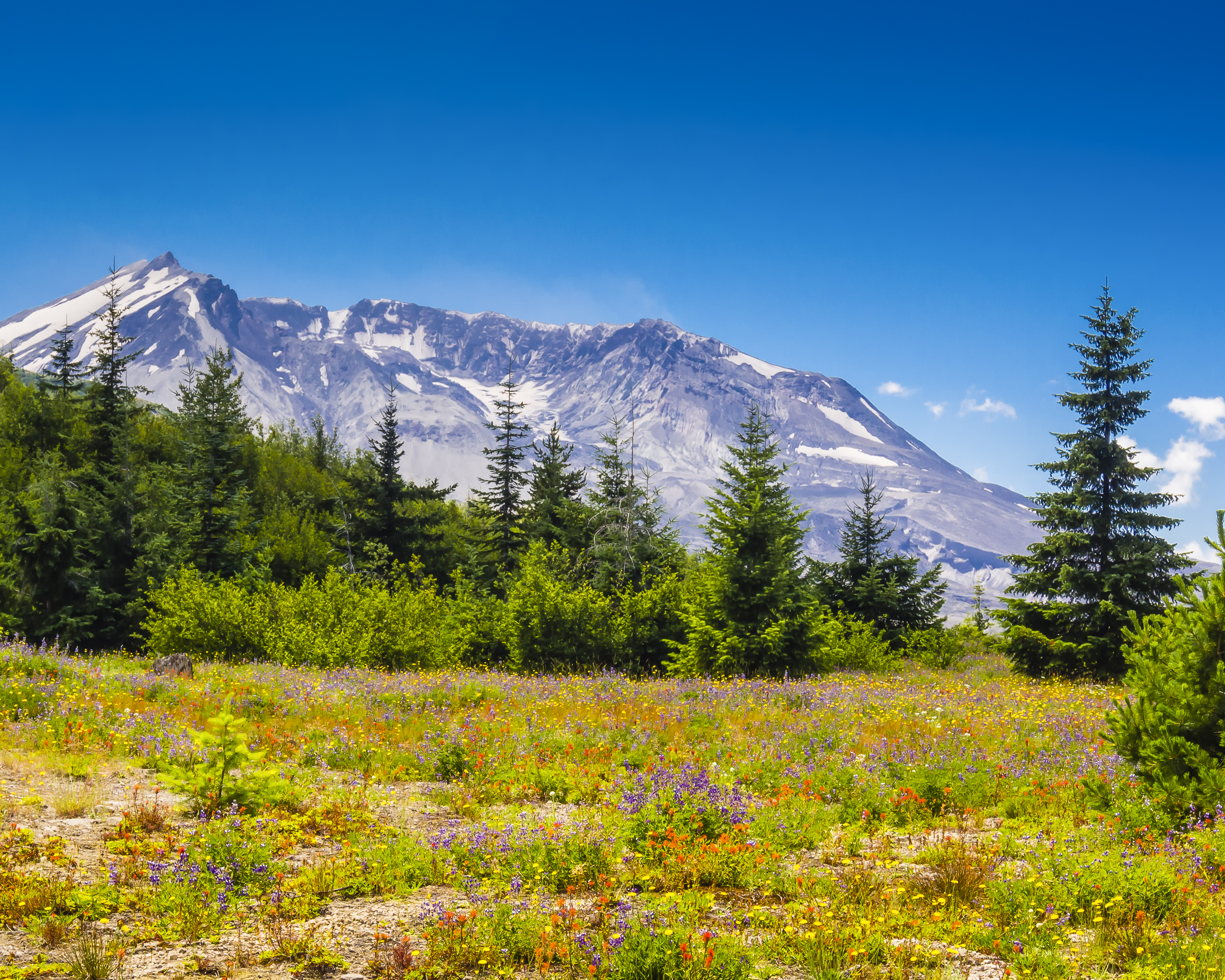 Mount St. Helens-wp.jpg